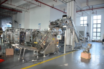 copy of High Speed Packing Machine